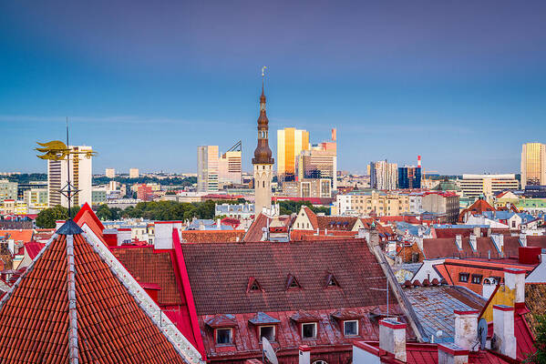 Cityscape Poster featuring the photograph Tallinn, Estonia Old Town And Skyline by Sean Pavone