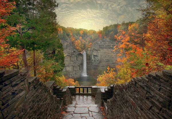 Autumn Poster featuring the photograph Taughannock Lights by Jessica Jenney