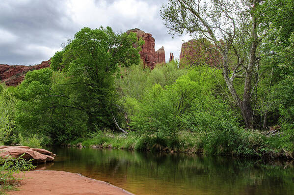 Red Rock State Park Poster featuring the photograph The Banks of Oak Creek by Douglas Wielfaert