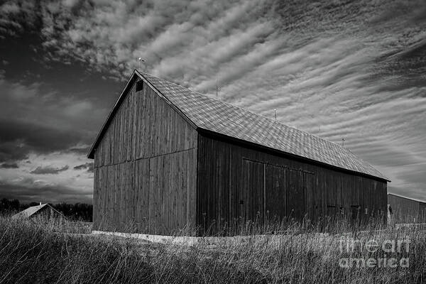 The Barn Poster featuring the photograph The Barn Mono by Rachel Cohen