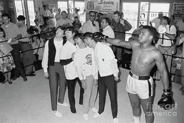Young Men Poster featuring the photograph The Beatles Training With Boxer Cassius by Bettmann