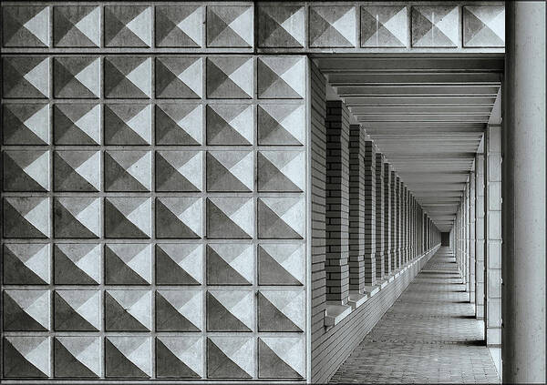 Pattern Poster featuring the photograph The Hall by Henk Van Maastricht