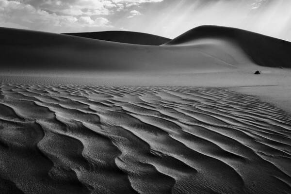 Namibia Poster featuring the photograph The Living Dunes, Namibia I by Neville Jones