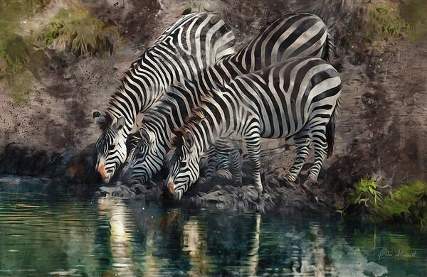 Zebra Poster featuring the digital art The Waterhole by Peter Kennett