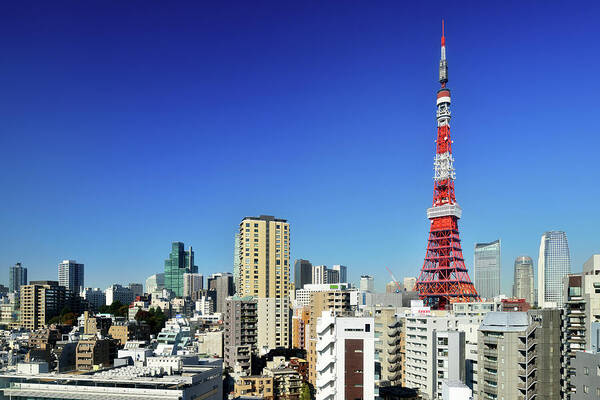 Tokyo Tower Poster featuring the photograph Tokyo Tower And Cityscape by Vladimir Zakharov