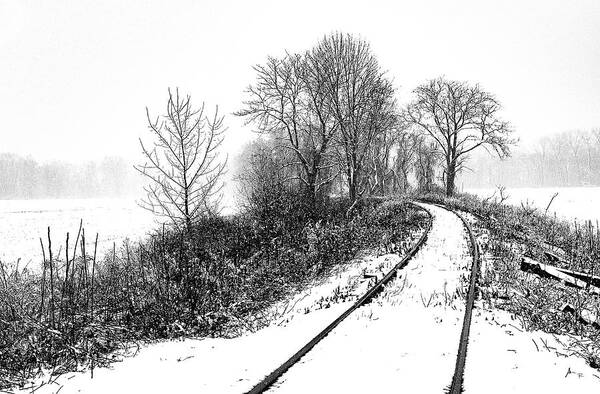  Poster featuring the photograph Tracks in Snow by Tom Romeo