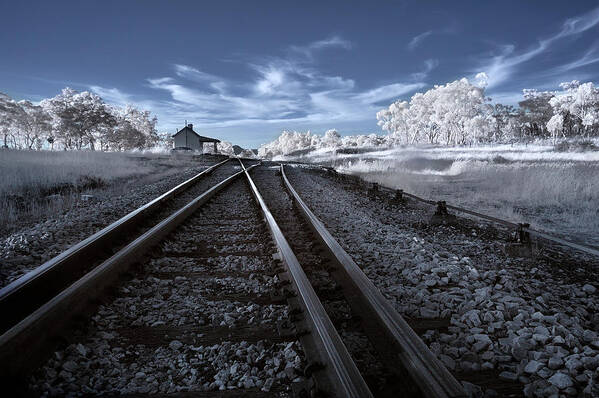 Infrared Poster featuring the photograph Tracks To Nowhere by Nicolas Marino
