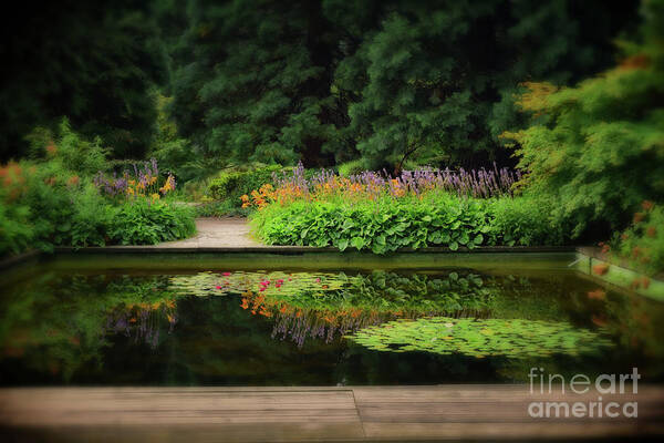 Landscape Poster featuring the photograph Tranquil Pond by Yvonne Johnstone