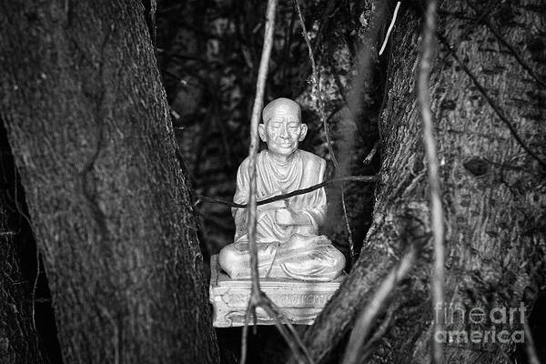 Buddha Poster featuring the photograph Tree Buddha I by Dean Harte