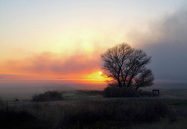 California Poster featuring the photograph Tule Fog Sunrise by Cheryl Strahl