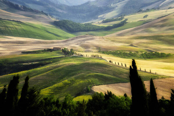 Tuscany Poster featuring the photograph Tuscany Waves by Krisztina Lacz