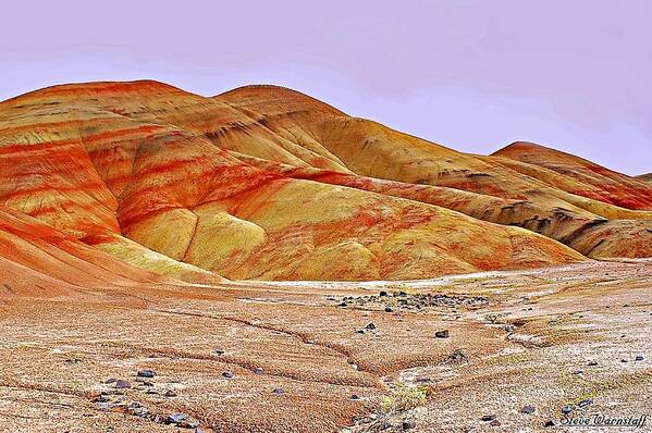 John.day.fossil.beds Poster featuring the photograph Valley of Mars by Steve Warnstaff