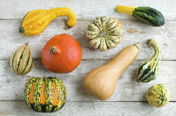 Ip_12474784 Poster featuring the photograph Various Gourds And Pumpkins On A Rustic Wooden Background by Achim Sass
