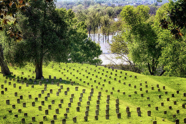 National Cemetery Poster featuring the photograph Vicksburg National Cemetery by Susan Rissi Tregoning