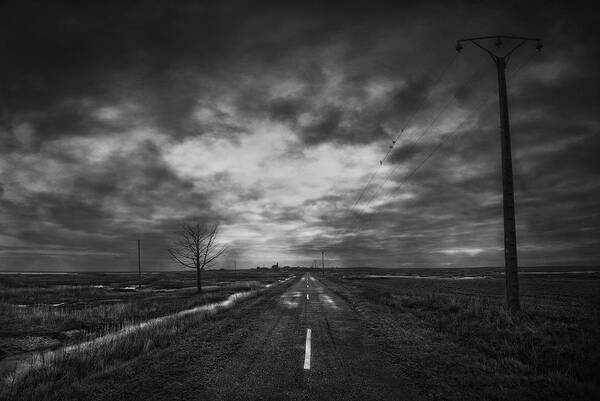 Landscape Poster featuring the photograph Villaffila's Old Road by Jose C. Lobato