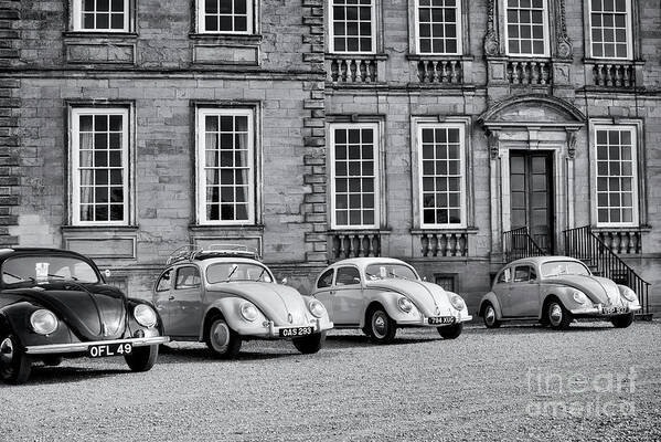 Vw Poster featuring the photograph Vintage Beetles by Tim Gainey