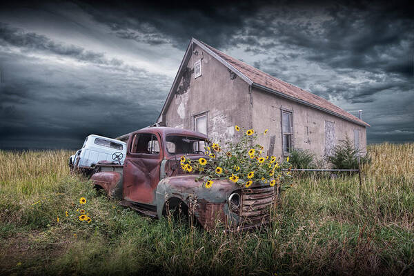 Art Poster featuring the photograph Vintage Ford Truck with Yellow Flowers abandoned on the prairie by Randall Nyhof