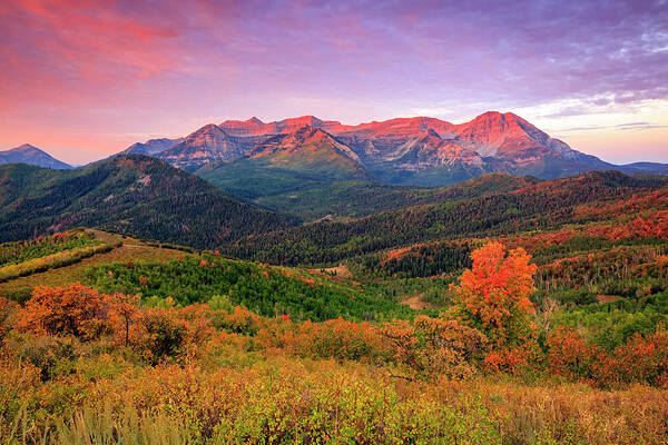Fall Poster featuring the photograph Wasatch Back Autumn Morning by Wasatch Light