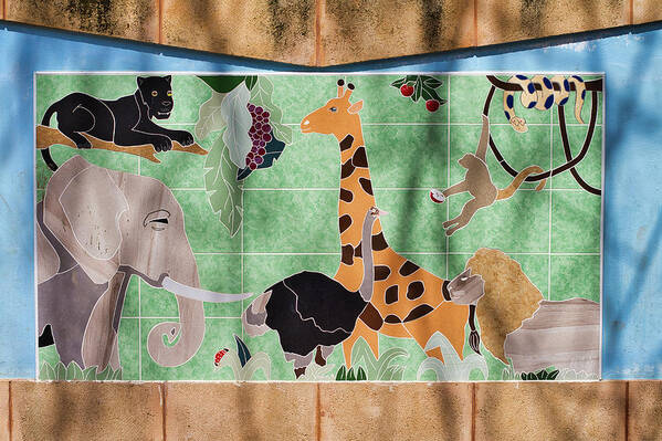 Africa Poster featuring the photograph Watkin Park Africa Mural by Paul Rebmann