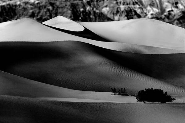 Mesquite Dunes Poster featuring the photograph Waves of Sand in Black and White by Don Hoekwater Photography
