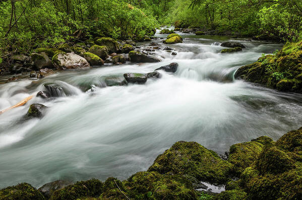 Scenics Poster featuring the photograph White Water River Rushing Through Green by Fotovoyager