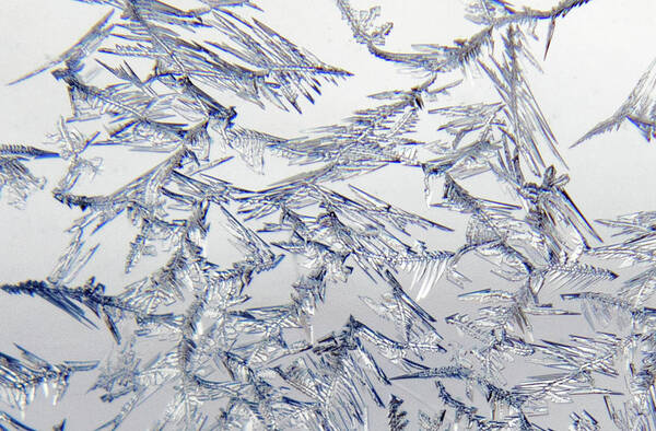 Winter Poster featuring the photograph Ice Crystals 7 by Ira Marcus