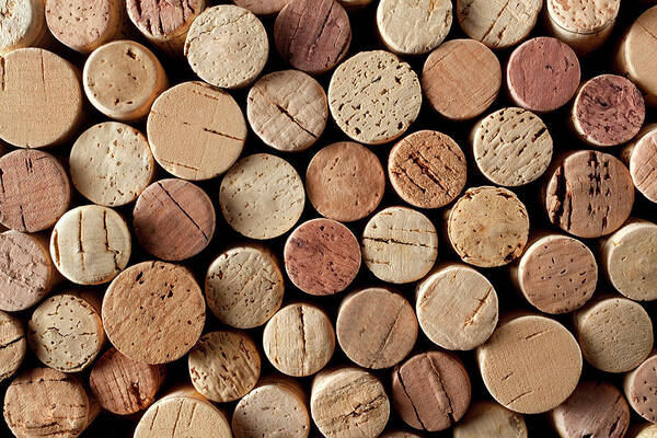 In A Row Poster featuring the photograph Wine Corks by Malerapaso