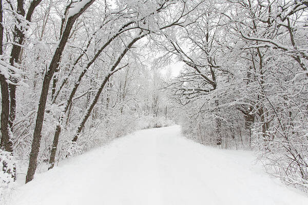 Tranquility Poster featuring the photograph Winter Country Road by Timothy Hughes