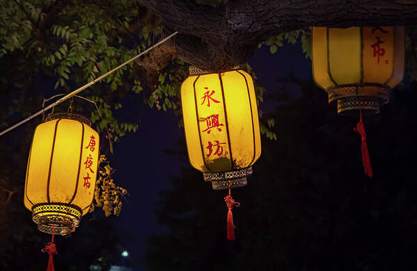 Asia Poster featuring the photograph Yellow Chinese lanterns on wire illuminated at night by Karen Foley