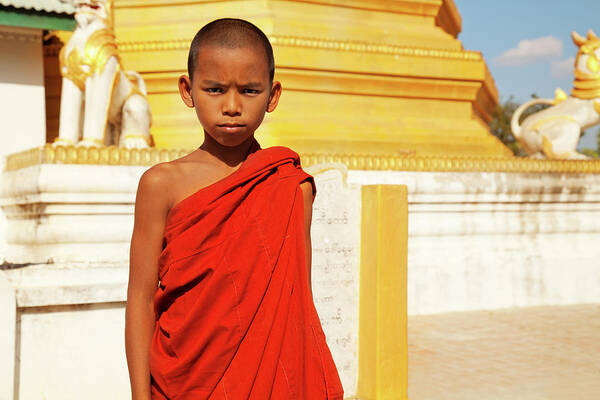 Pagoda Poster featuring the photograph Young Burmese Monk In Myanmar by Danielbendjy