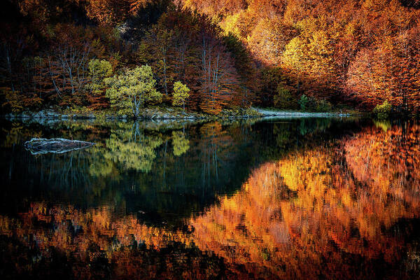 Fall Poster featuring the photograph Autumn in Italy #1 by Francesco Riccardo Iacomino