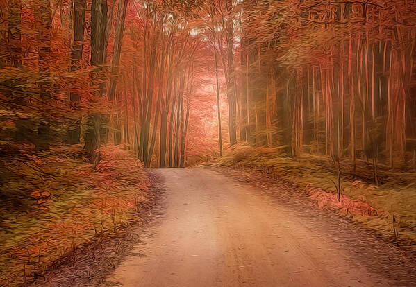 Country Roads Poster featuring the photograph Autumn Roads #1 by Sandra J's