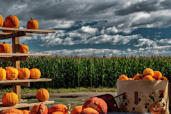 Farmstand Poster featuring the photograph Autumn Sky #1 by Cathy Kovarik