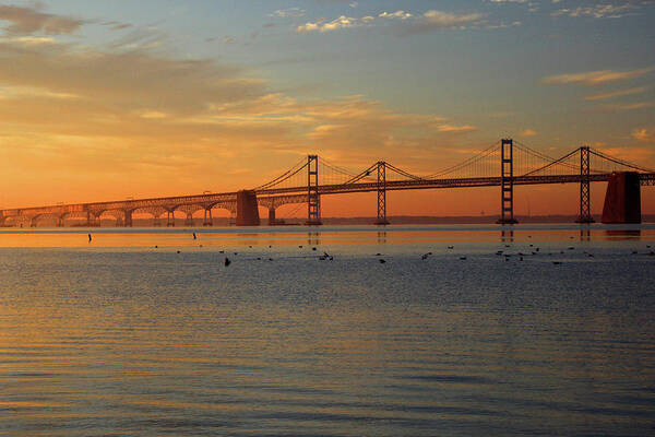 Bay Bridge Poster featuring the photograph Bay Bridge #2 by Carolyn Stagger Cokley