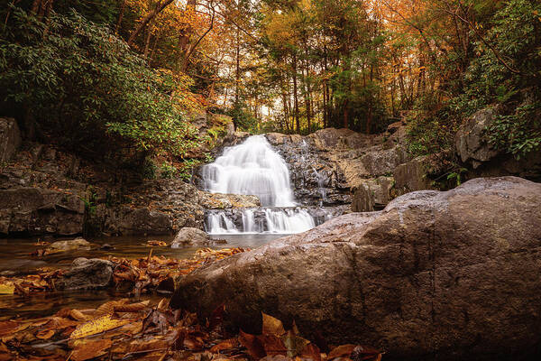 Hawk Poster featuring the photograph Hawk Falls in Autumn Creekside by Jason Fink
