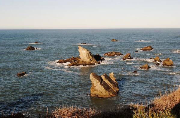 Coast Poster featuring the photograph Looking West #1 by Steven Wills