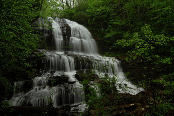 Pearson's Falls Poster featuring the photograph Pearson's Falls #1 by Doug McPherson