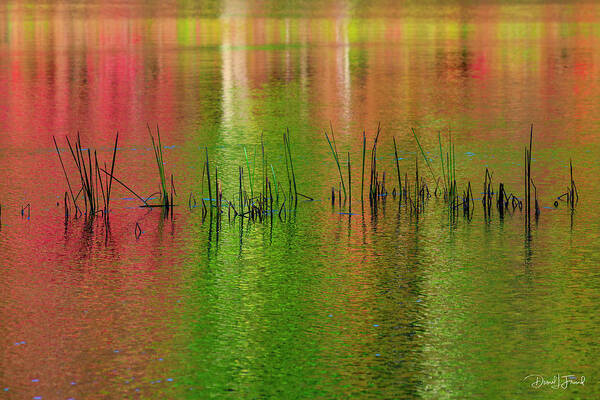 Red And Green Poster featuring the photograph Red and Green colors reflection in water #2 by Dan Friend