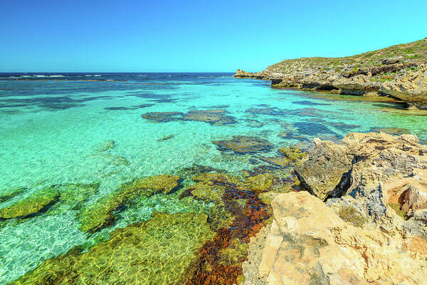 Australia Poster featuring the photograph Salmon Bay Rottnest Island #1 by Benny Marty