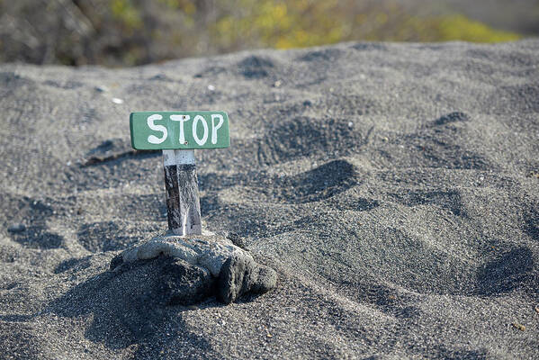Republic Of Ecuador Poster featuring the photograph Sign to keep people off Galapagos green turtle nesting areas, Urbina Bay, Isabela Island, Galapagos Islands, Ecuador #1 by Kevin Oke
