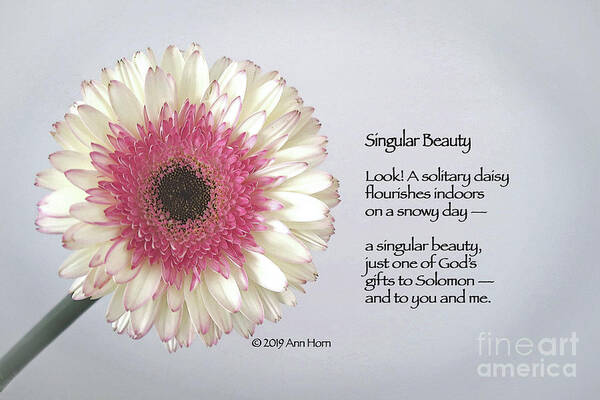 Illustrated Poem Poster featuring the photograph Singular Beauty by Ann Horn