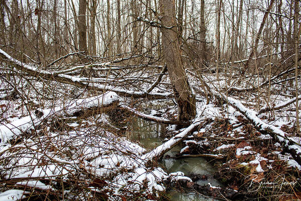  Poster featuring the photograph Snowy Stream #1 by Brian Jones