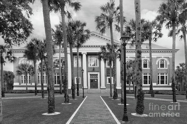 Stetson University Poster featuring the photograph Stetson University Sampson Hall by University Icons