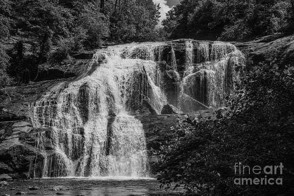 3673 Poster featuring the photograph Tennessee Wilderness #1 by FineArtRoyal Joshua Mimbs