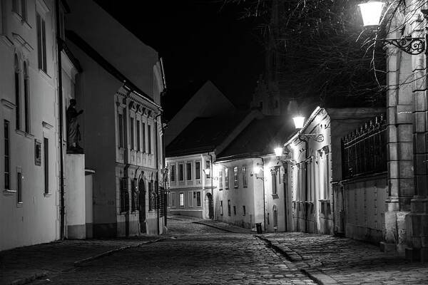 Slovakia Poster featuring the photograph Bratislava at night #12 by Robert Grac