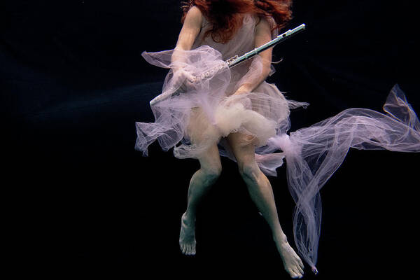 Nina Poster featuring the photograph Nina underwater for the Hydroflute project #14 by Dan Friend