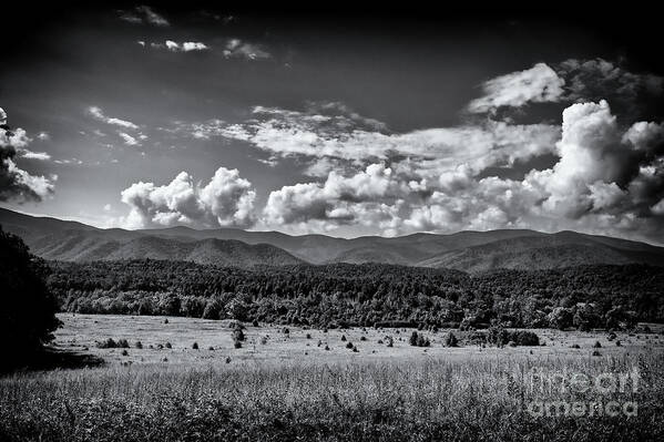 Tennessee Poster featuring the photograph Black and White Landscape #2 by Phil Perkins