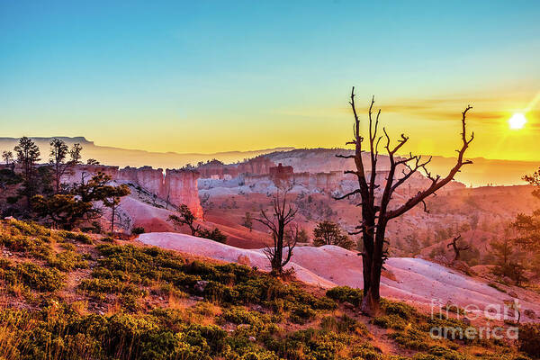 Bryce Poster featuring the photograph Bryce At Sunrise #2 by Nathan Wasylewski