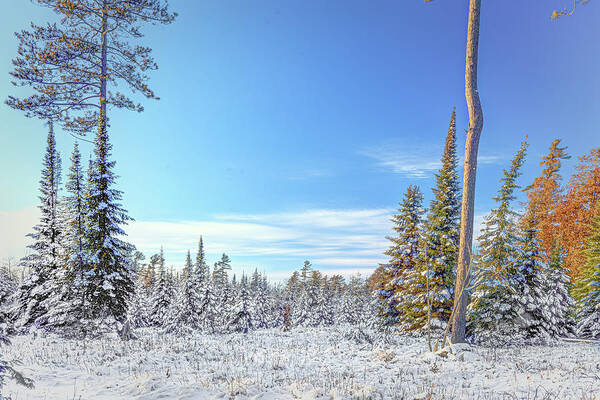 #winter #landscape #photograph #fine Art #door County #wisconsin #midwest #wall Décor #wall Art #hiking #walking #long Exposure #focus Stacking #hdr Photography #adventure #outside #environment #outdoor Lover #snow #ice #cold #snowshoeing # Cross Country Skiing   Poster featuring the photograph Remains Of The Day #2 by David Heilman
