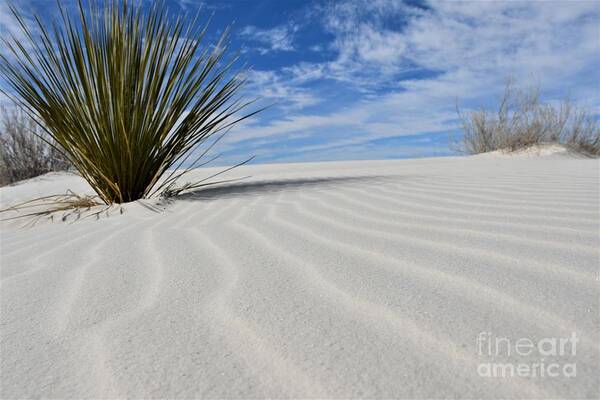 White Sands Poster featuring the photograph White Sands National Park #2 by Leslie M Browning